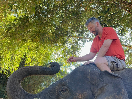 Elephant Peace Project-清莱必去景点