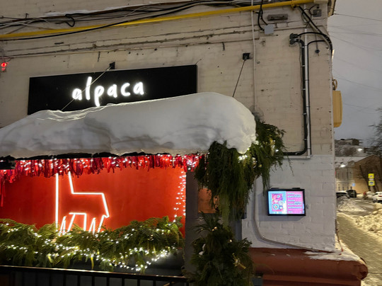 Alpaca