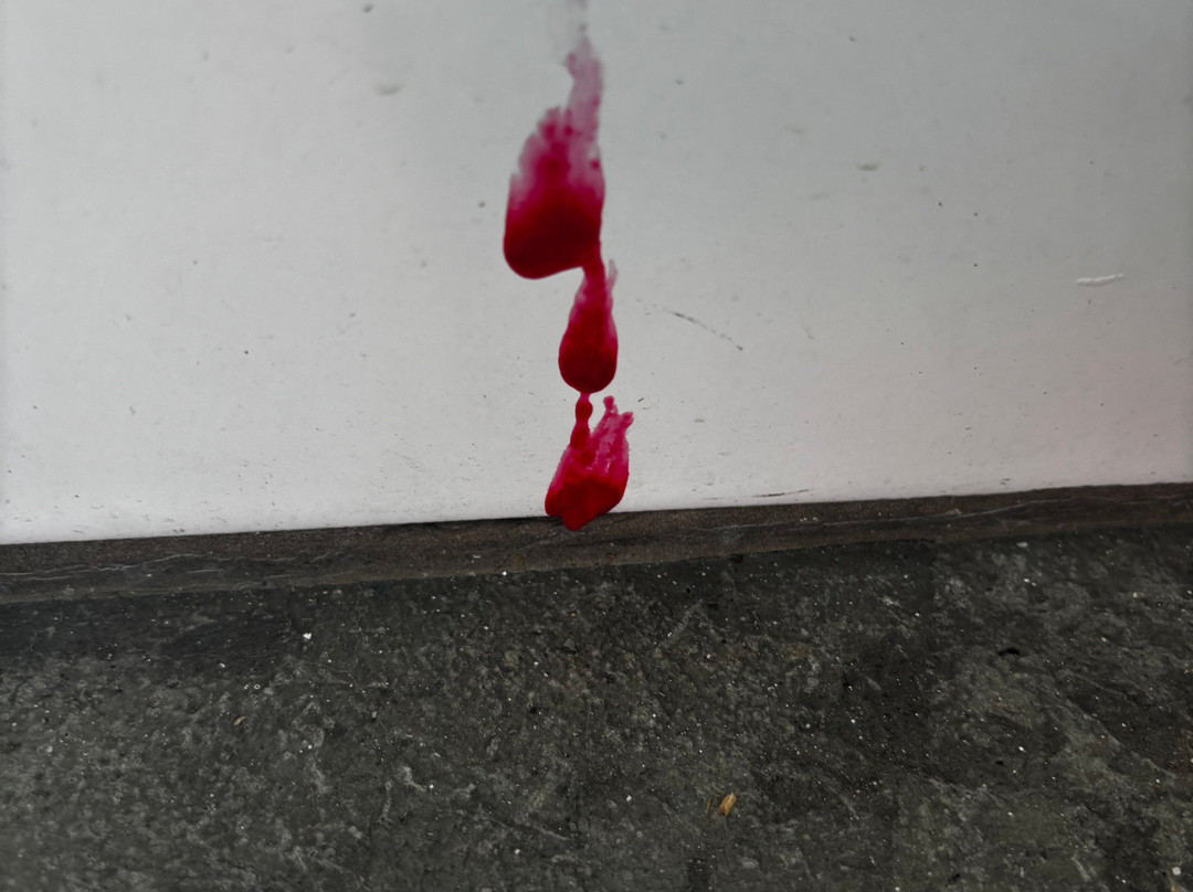 智选假日套房酒店米尔福德主图