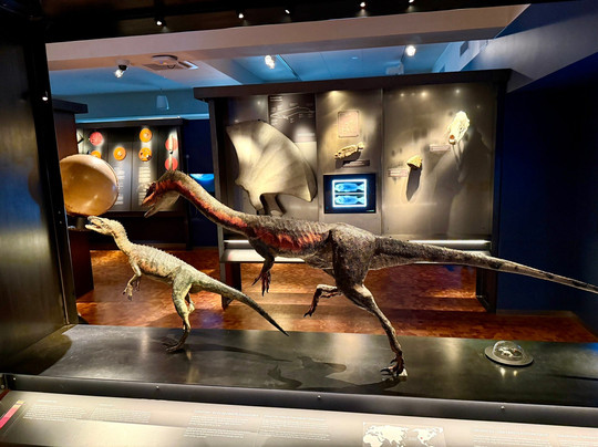 特罗姆瑟博物馆-特罗姆瑟必去景点