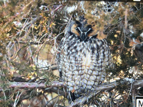 Spruce Photo Tours-汤森必去景点