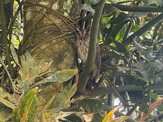 Costa Rica Expedition Tours-Culebra必去景点