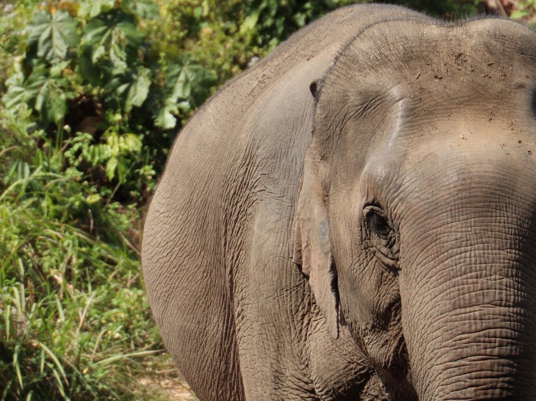 Chang Chill-Mae Win必去景点