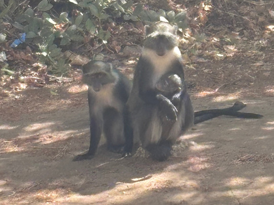 Watamu Safari Kenya-瓦塔木必去景点