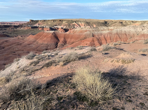 霍尔布鲁克石化森林拉昆塔温德姆酒店及套房主图