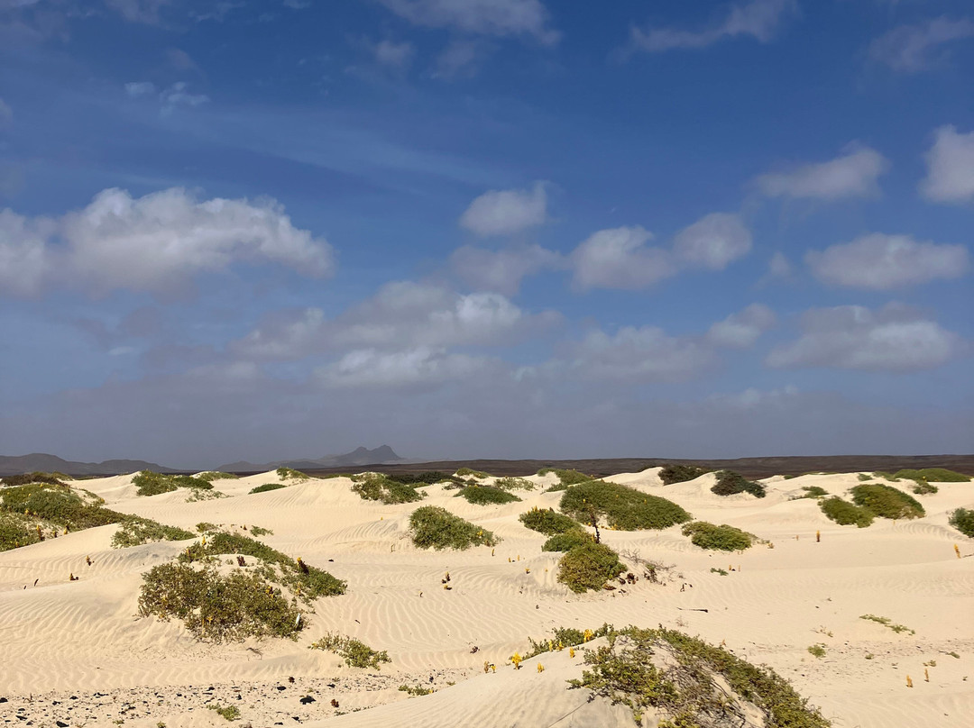 Ddudu Tours-博阿维斯塔必去景点