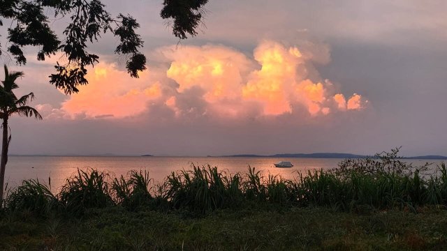 Pineapple Bay Resort-官方