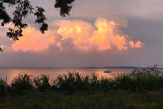 Pineapple Bay Resort主图