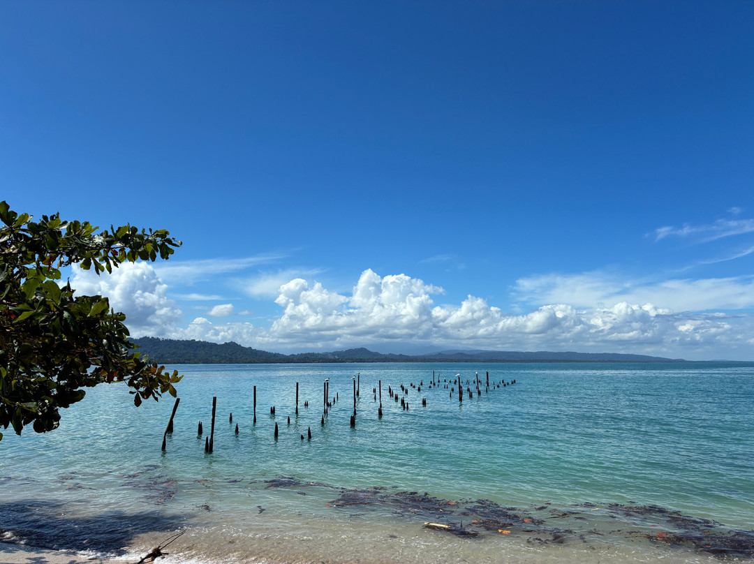 Caribbean Guide Puerto Viejo-旧港必去景点