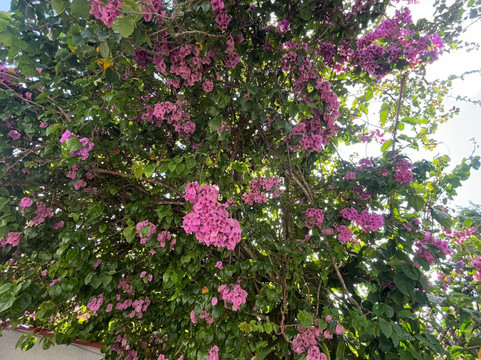 Ubatuba Eco Hotel主图