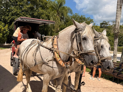 Fazzenda Park Resort主图