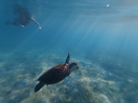 Anker Tours-普拉亚德尔卡曼必去景点