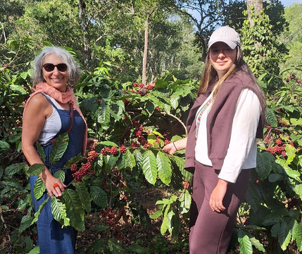 Green Land Spice Garden-帖可迪必去景点