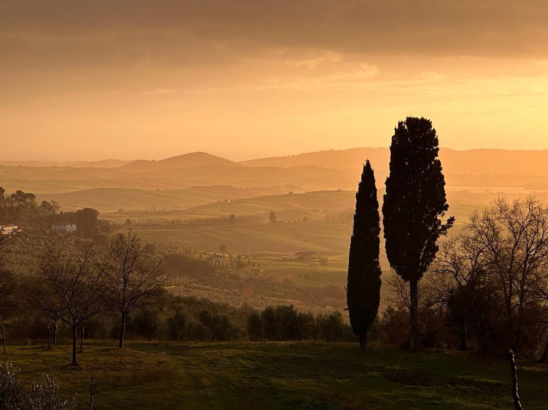La Vitaverde Agriturismo