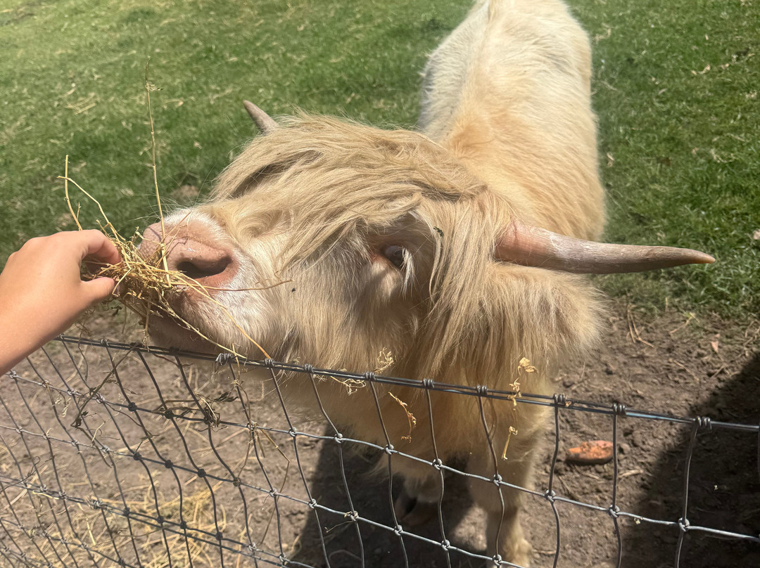 Splitters Farm-邦德堡必去景点