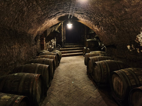 Cantine del Notaio-Rionero in Vulture必去景点