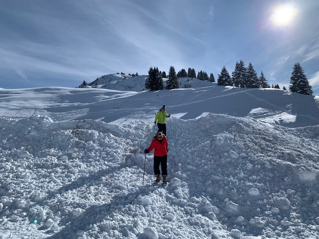 Lac de Joux Plane-Verchaix必去景点