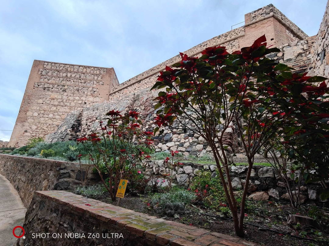 Casco Antiguo-萨洛夫雷尼亚必去景点
