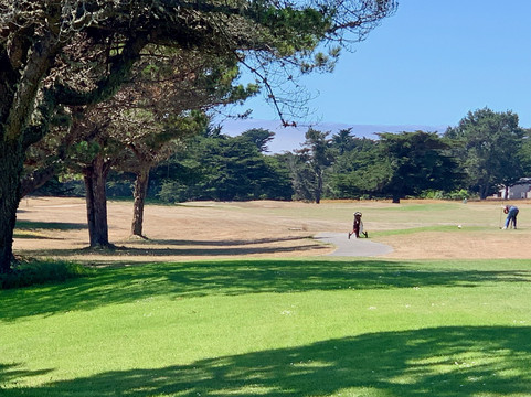 Sea Ranch Golf Links-The Sea Ranch必去景点