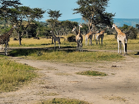 Dk Rent A Car Uganda-坎帕拉必去景点