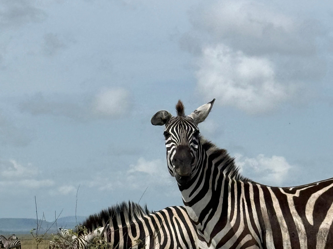 Africa Magic Holidays & Tours-阿鲁沙必去景点