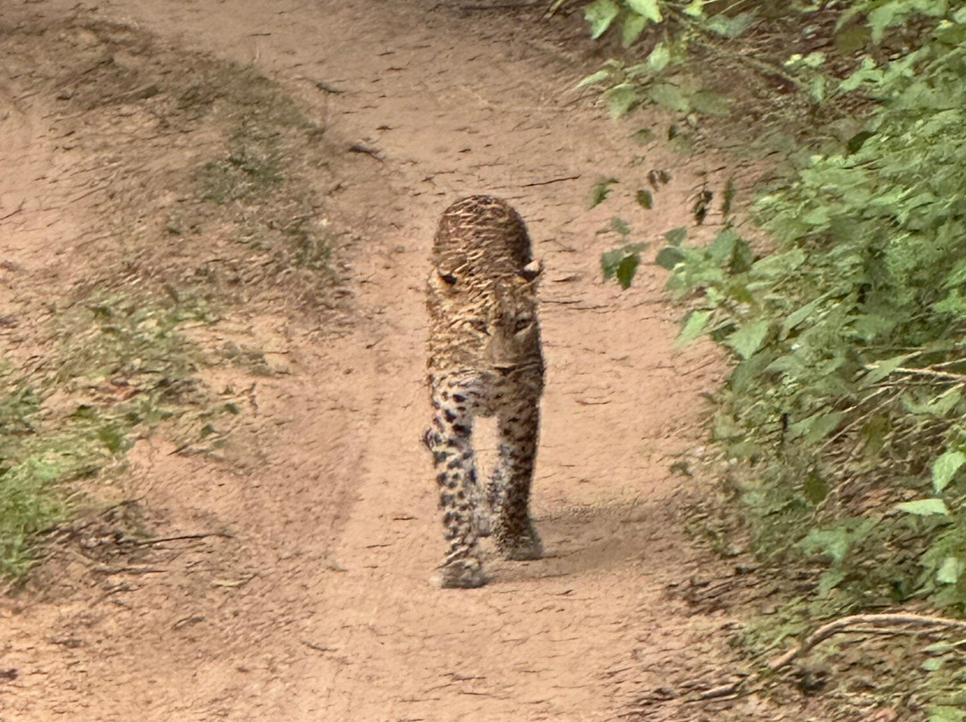 My Vacation at Lanka-Ratmalana必去景点