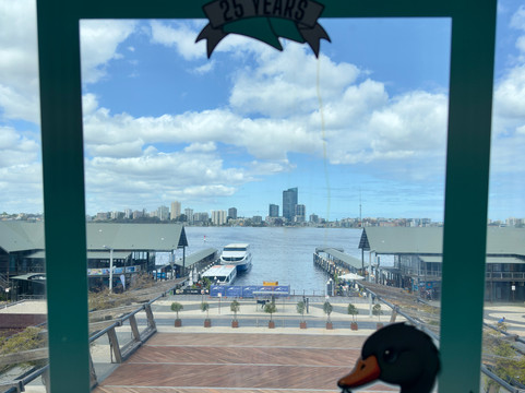 天鹅钟塔-珀斯必去景点