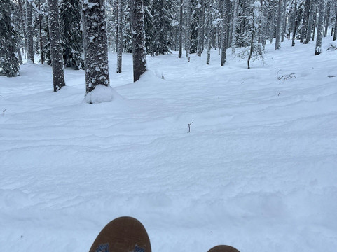 Bliss Adventure-Pyhatunturi必去景点