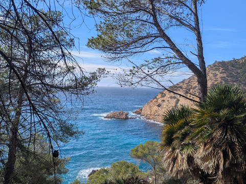 Wander Jürgen Mallorca-帕格拉必去景点