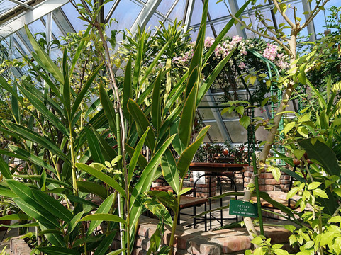 Tama City Green Live Center-多摩市必去景点