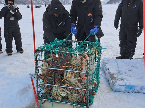 帝王蟹捕捞之旅-希尔克内斯必去景点