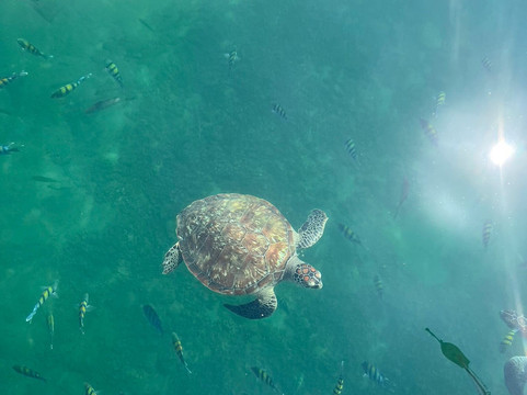 Al Sansool-马斯喀特必去景点