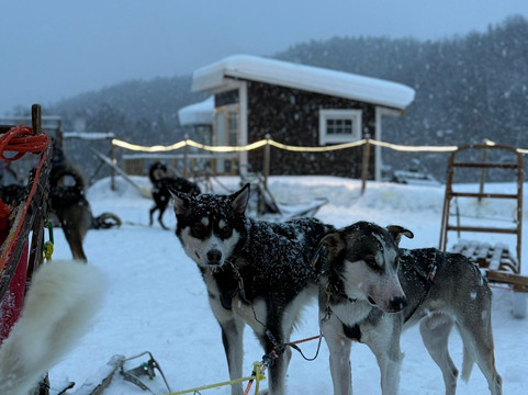 Into Nature-Meistervik必去景点