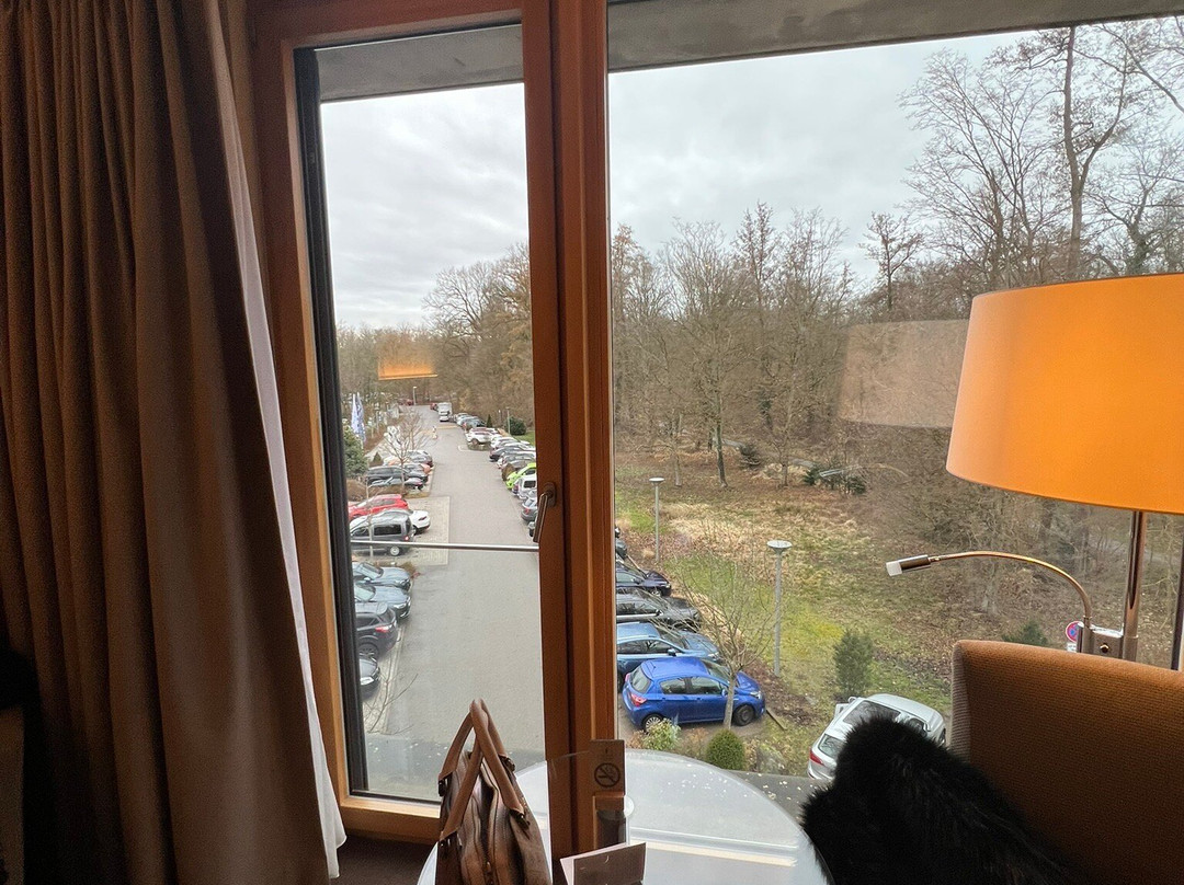 佛莱堡多林特温泉酒店主图