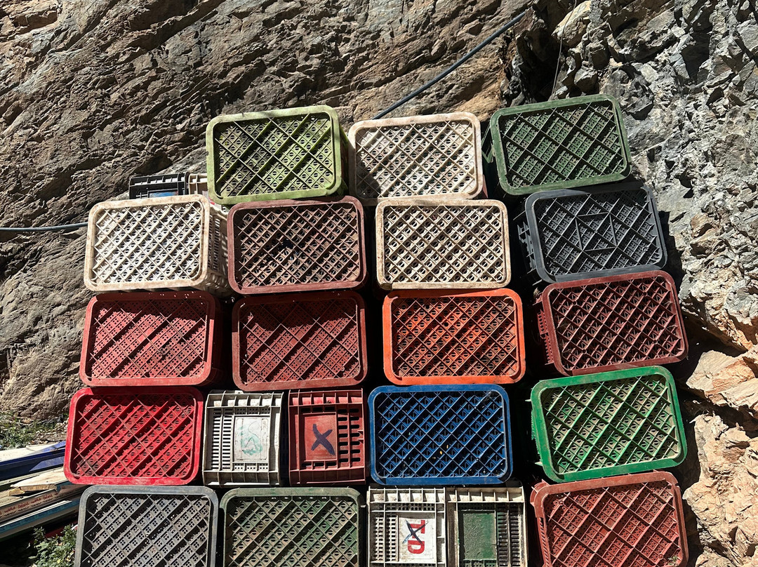 Oasis Desert Tours-卡萨布兰卡必去景点