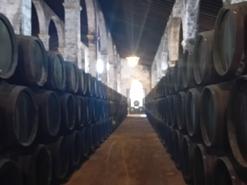 Bodegas Lustau-赫雷斯德拉弗隆特拉必去景点