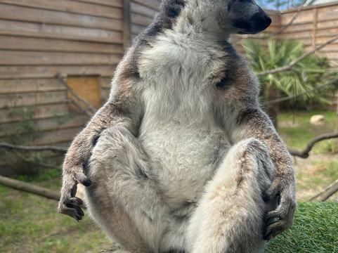 North Florida Wildlife Center-Lamont必去景点