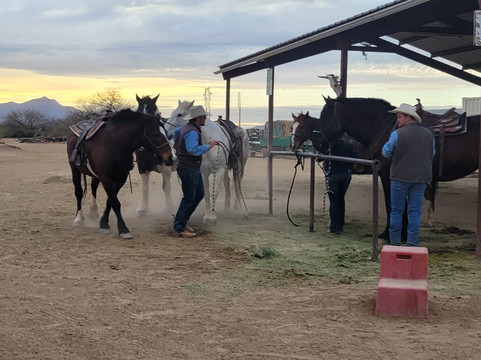 KOLI Equestrian Center-钱德勒必去景点