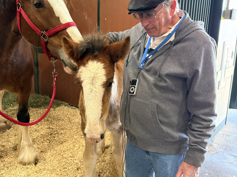 Warm Springs Ranch-Boonville必去景点