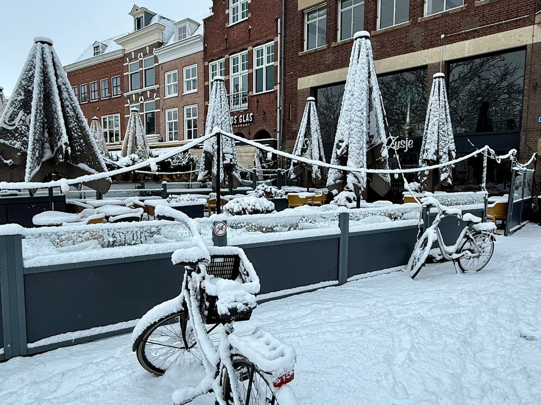 Stadhuis Gouda (City Hall)-高德必去景点