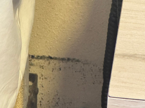 彭塔波林奎恩度假村主图