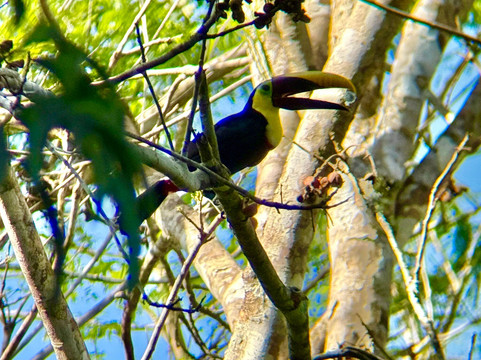 Osa Nature Lovers-Sierpe必去景点