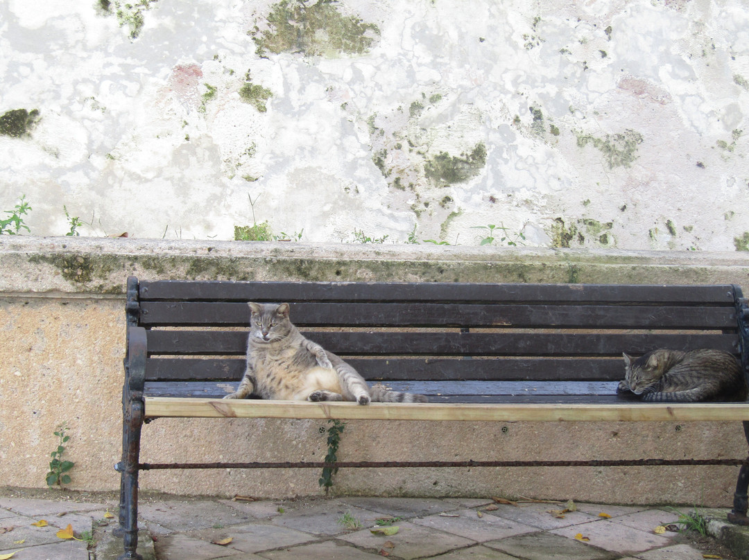 公主街-圣胡安必去景点