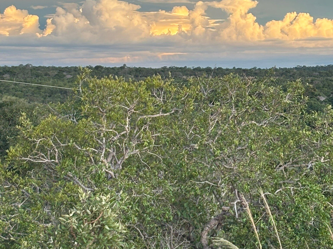 Cerrado Rupestre-Palmas必去景点