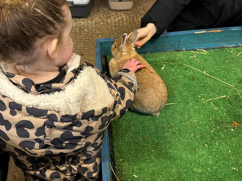 Bluebell Dairy Farm-德比必去景点