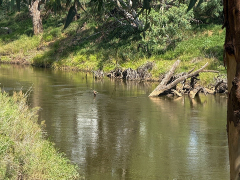 Terramungamine Reserve and Rock Grooves-达博必去景点