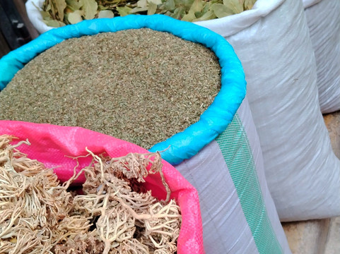 Why Jordan Tours-佩特拉必去景点