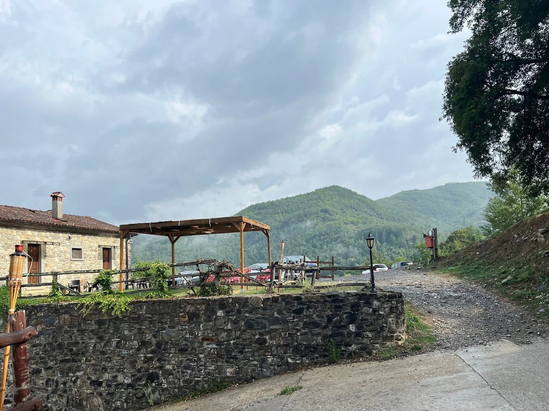 托诺里切奈伊酒店主图