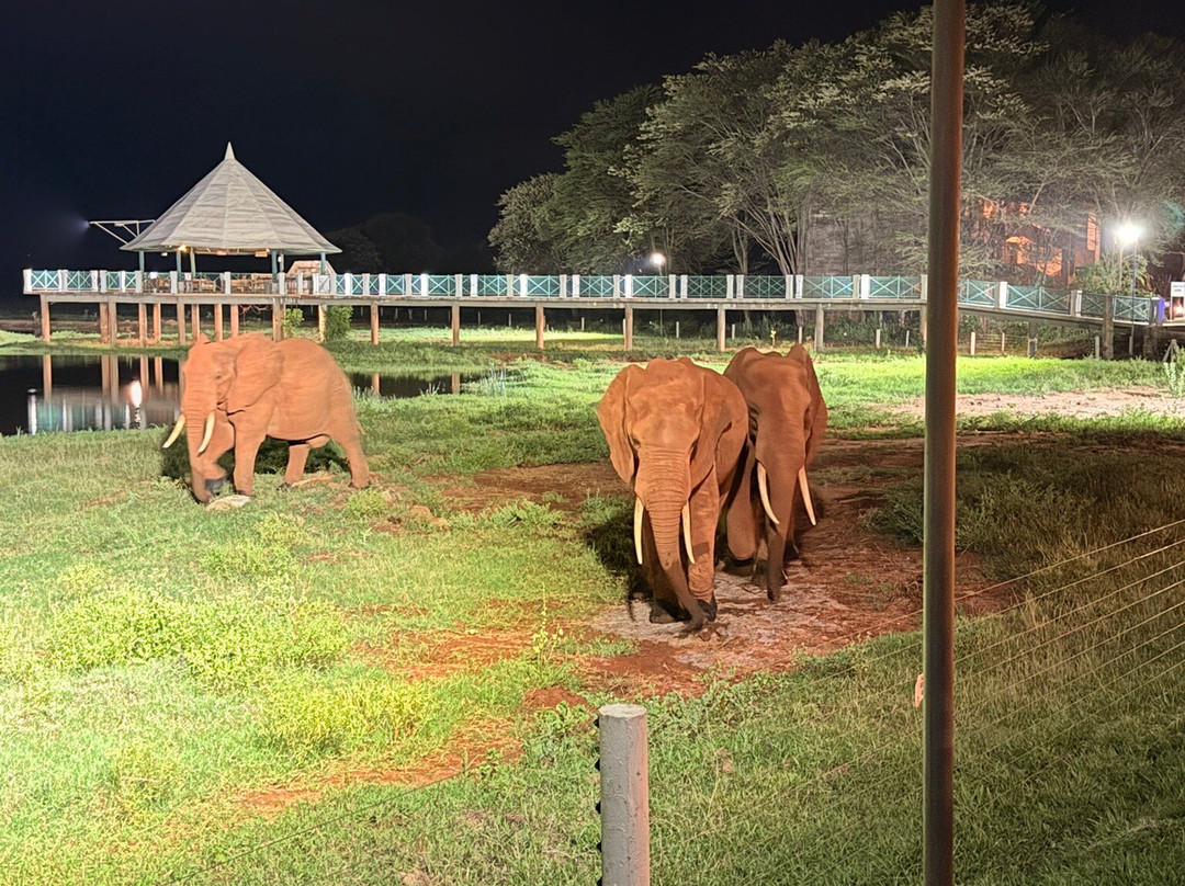 Abuu Escursioni Kenya-瓦塔木必去景点