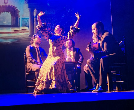 Teatro Flamenco Madrid-马德里必去景点